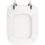 Copriwater Coprivaso Sedile WC Vaso Conca Eco Legno
